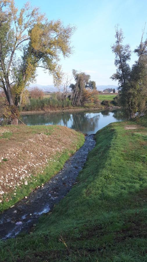 Sulla Ciclabile Apartment Lungo Il Fiume Adige Zevio Екстер'єр фото
