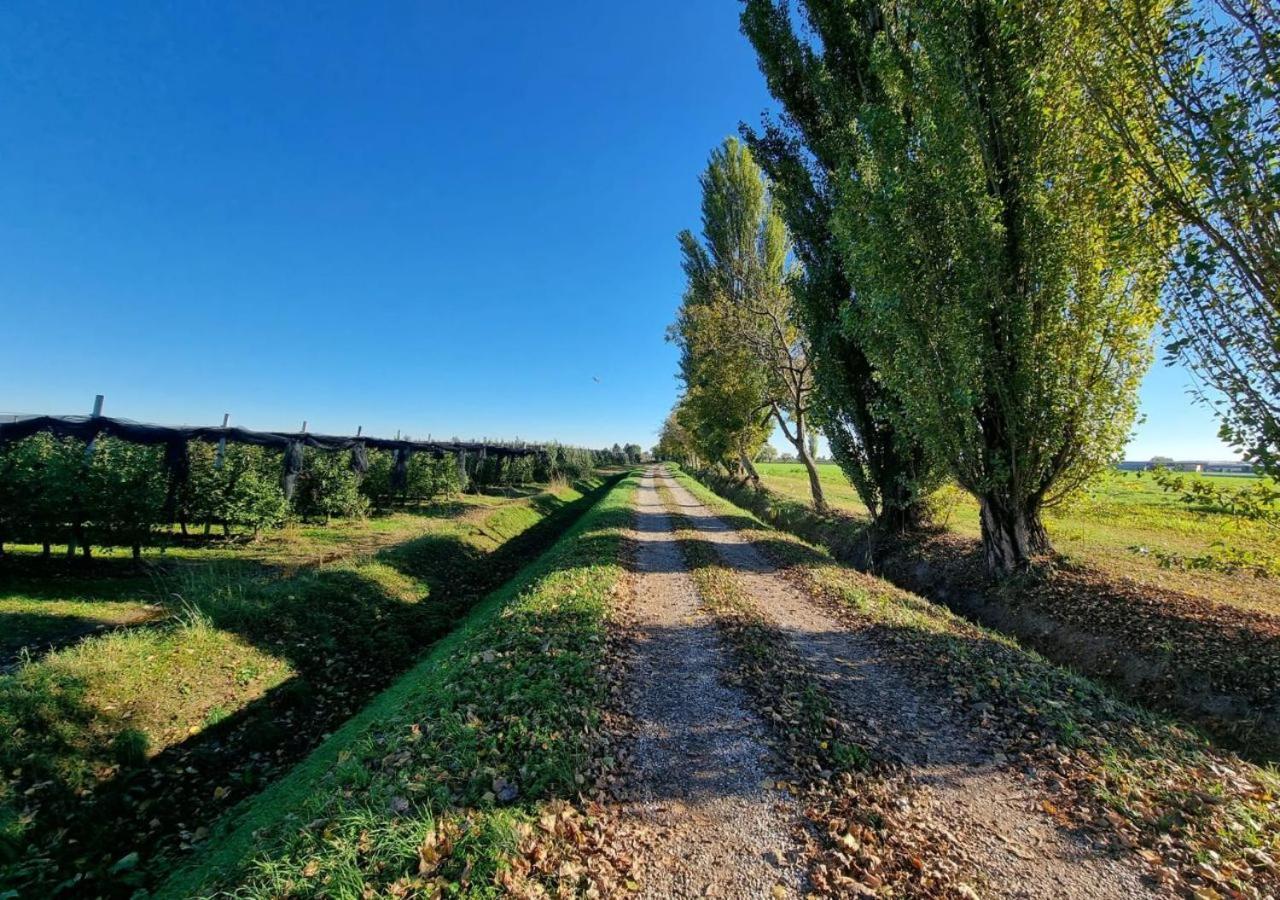 Sulla Ciclabile Apartment Lungo Il Fiume Adige Zevio Екстер'єр фото